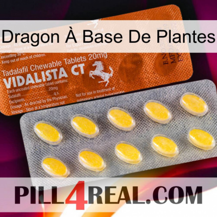 Dragon À Base De Plantes 42